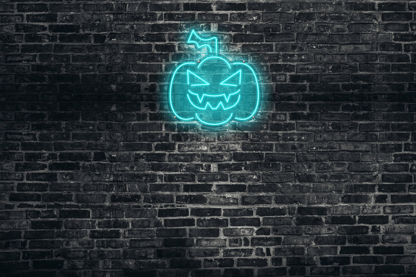 Neon LED schriftzug sign schild light strip türkis online home dekor event party, halloween
