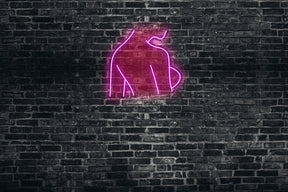 Neon LED schriftzug sign schild light strip pink online home dekor , sexy